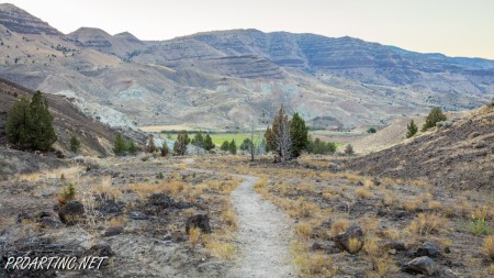 Blue Basin Overlook Trail 38