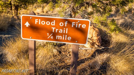 Flood of Fire Trail 2