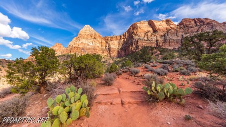 The Watchman Trail 11