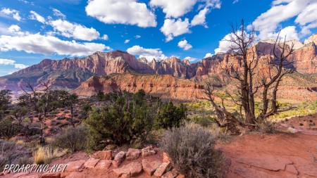 The Watchman Trail 13