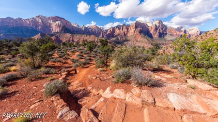 The Watchman Trail 14