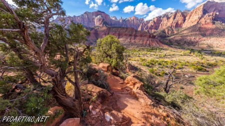 The Watchman Trail 16