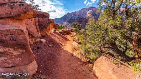 The Watchman Trail 17