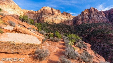 The Watchman Trail 20