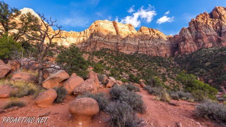 The Watchman Trail 21
