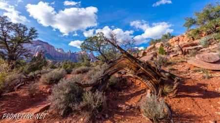 The Watchman Trail 22
