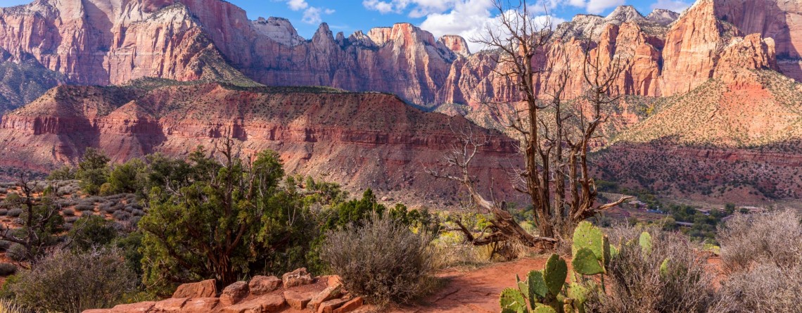 The Watchman Trail 6