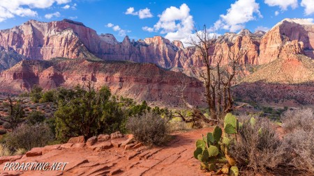 The Watchman Trail 6