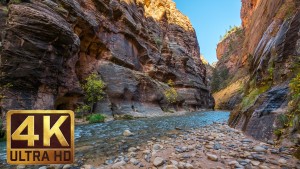 4K TV Screensavers - Zion National Park. Episode 2