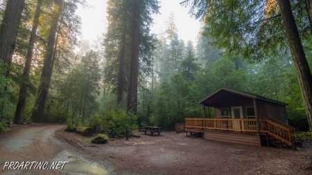 Jedediah Smith Redwoods State Park Campground 1