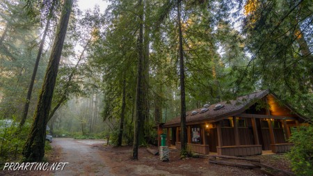 Jedediah Smith Redwoods State Park Campground 10