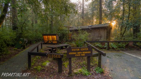 Jedediah Smith Redwoods State Park Campground 13