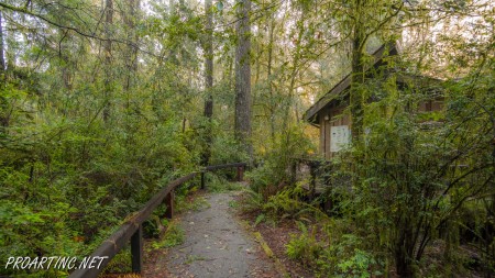 Jedediah Smith Redwoods State Park Campground 15