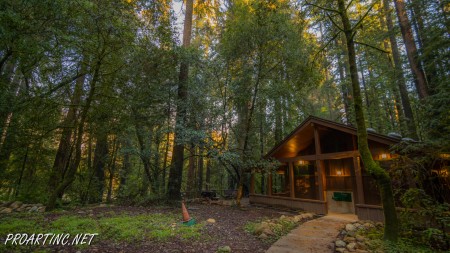 Jedediah Smith Redwoods State Park Campground 17