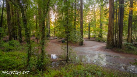 Jedediah Smith Redwoods State Park Campground 18