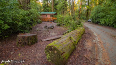 Jedediah Smith Redwoods State Park Campground 21
