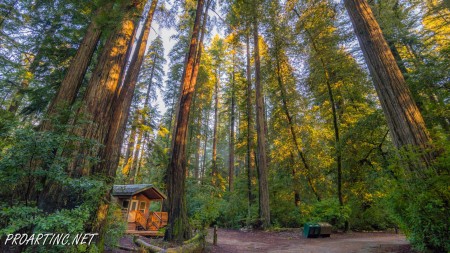 Jedediah Smith Redwoods State Park Campground 22