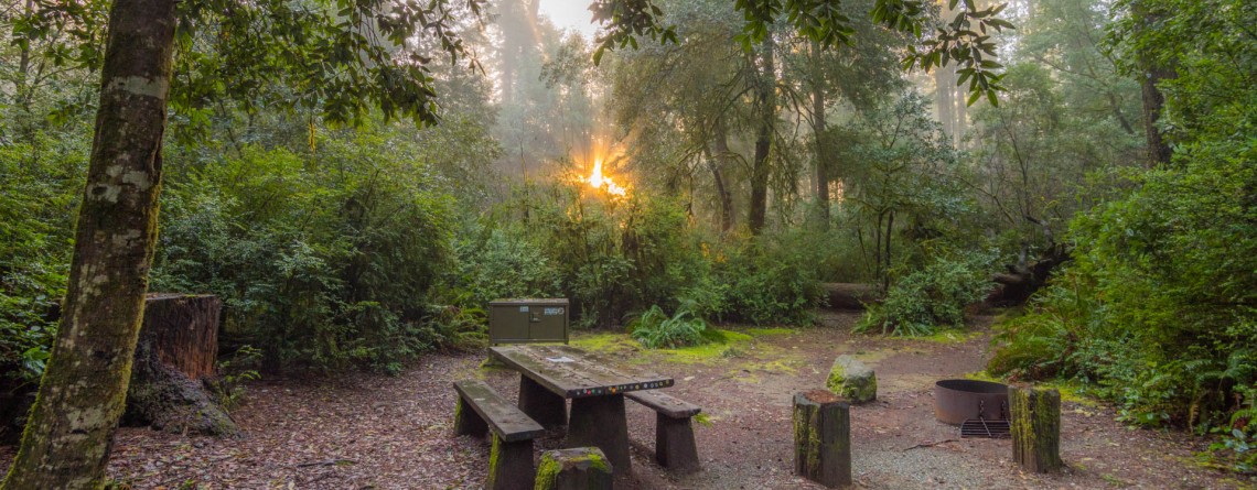 Jedediah Smith Redwoods State Park Proartinc