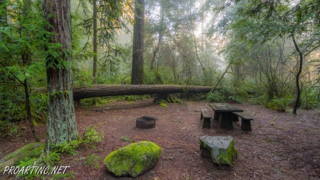 Jedediah Smith Redwoods State Park Campground 8