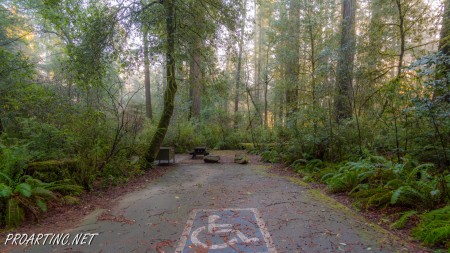 Jedediah Smith Redwoods State Park Campground 9
