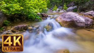 Clear Mountain Stream - 4K Relax VIDEO