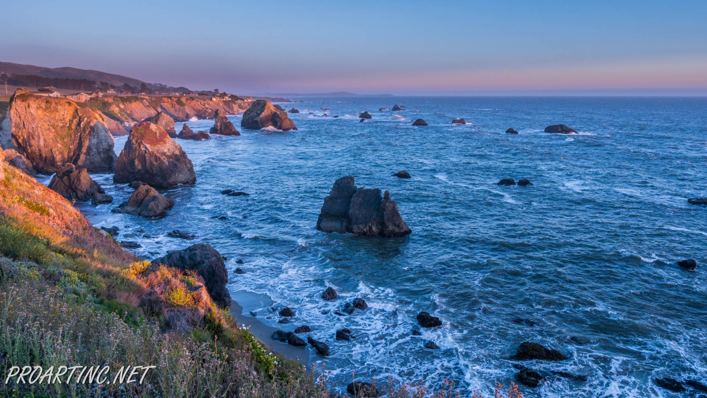 Sonoma Coast State Park | ProArtInc