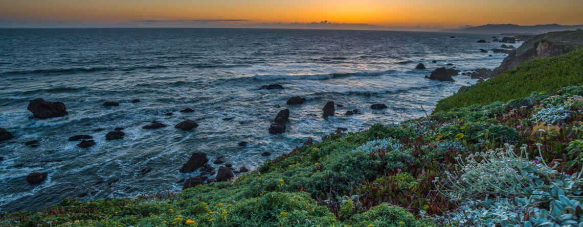 Sonoma Coast State Park 27