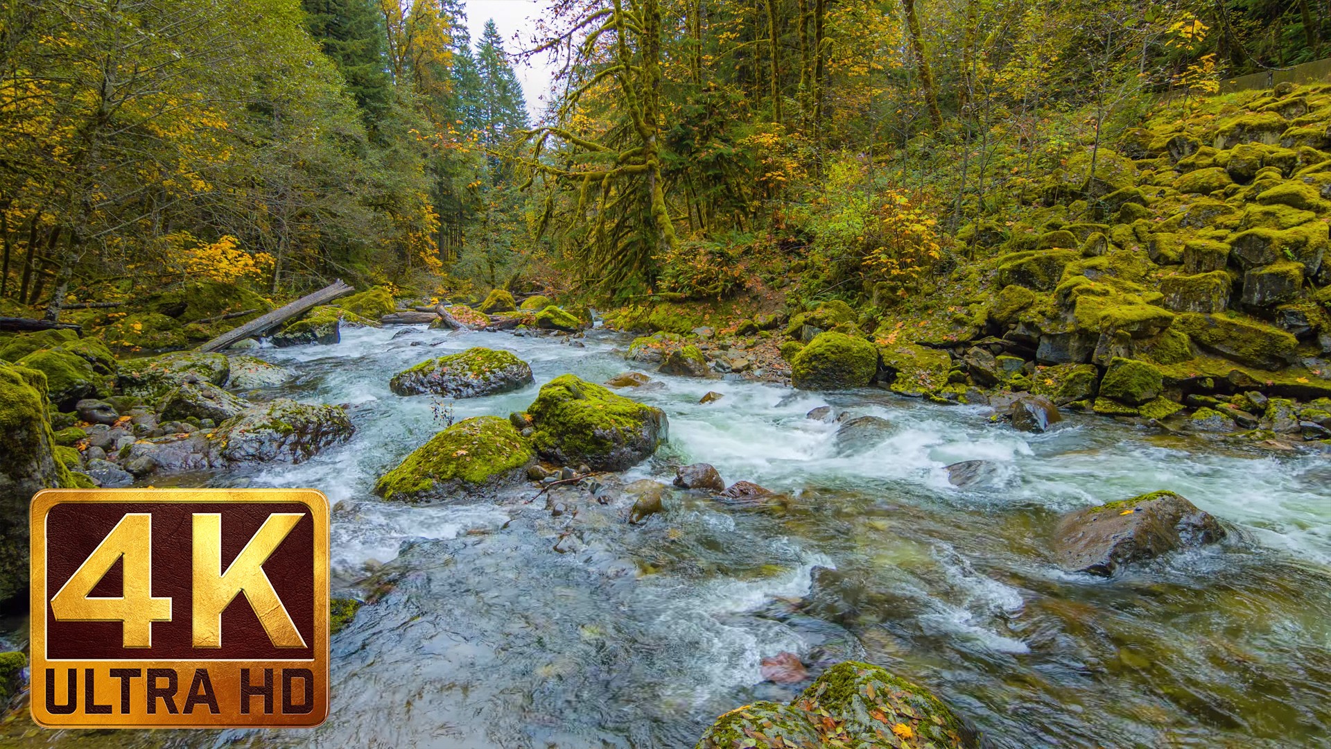 Snoqualmie Screensaver Download Snoqualmie Screensaver Download