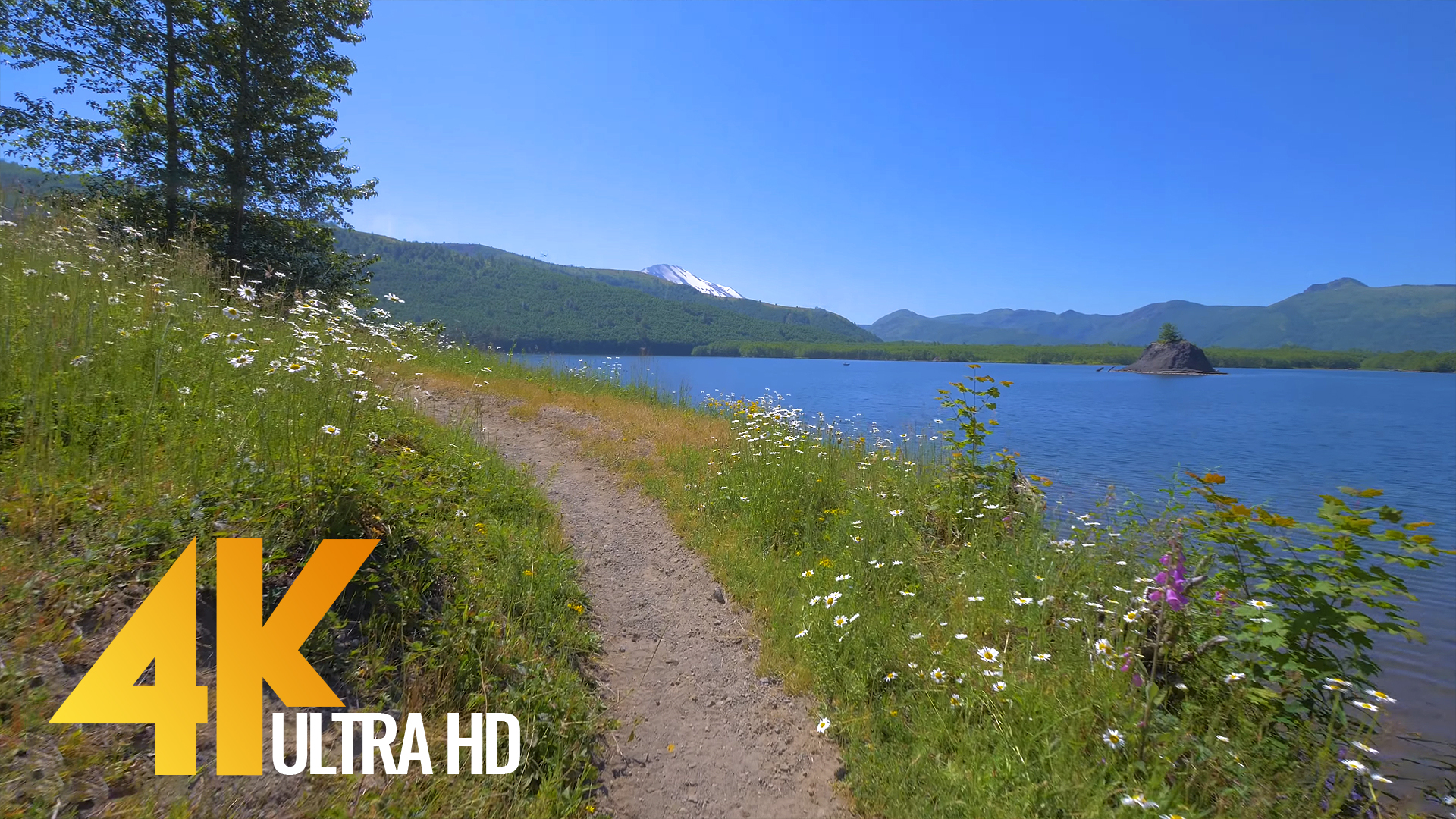 4K Nature Relax Video/Virtual Hike - Nature Walk - 4.5 HRS | ProArtInc