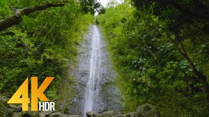 Oahu Waterfalls