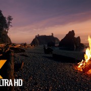 Campfire On Beach - Crackling Fire with Ocean Waves Sounds
