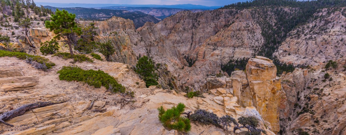 Hell's Backbone Road 5