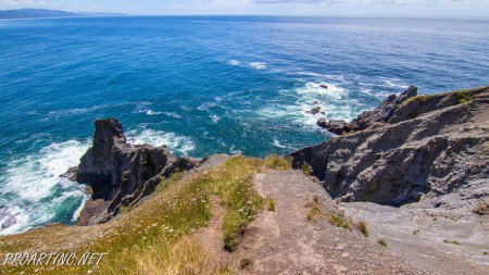 Clatsop Loop Trail 2