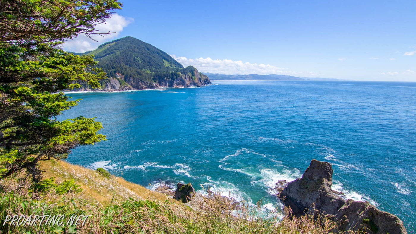 CLATSOP LOOP TRAIL | ProArtInc