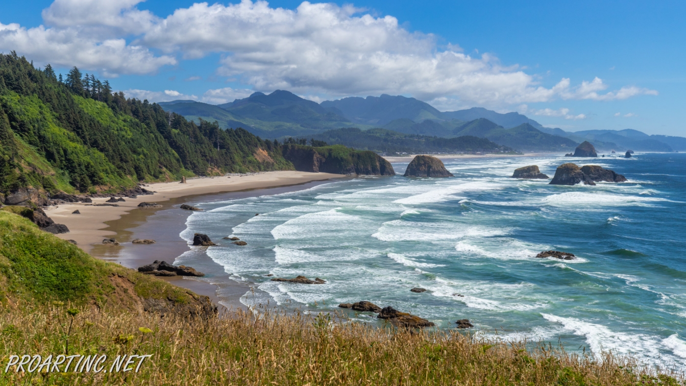 Ecola State Park | ProArtInc