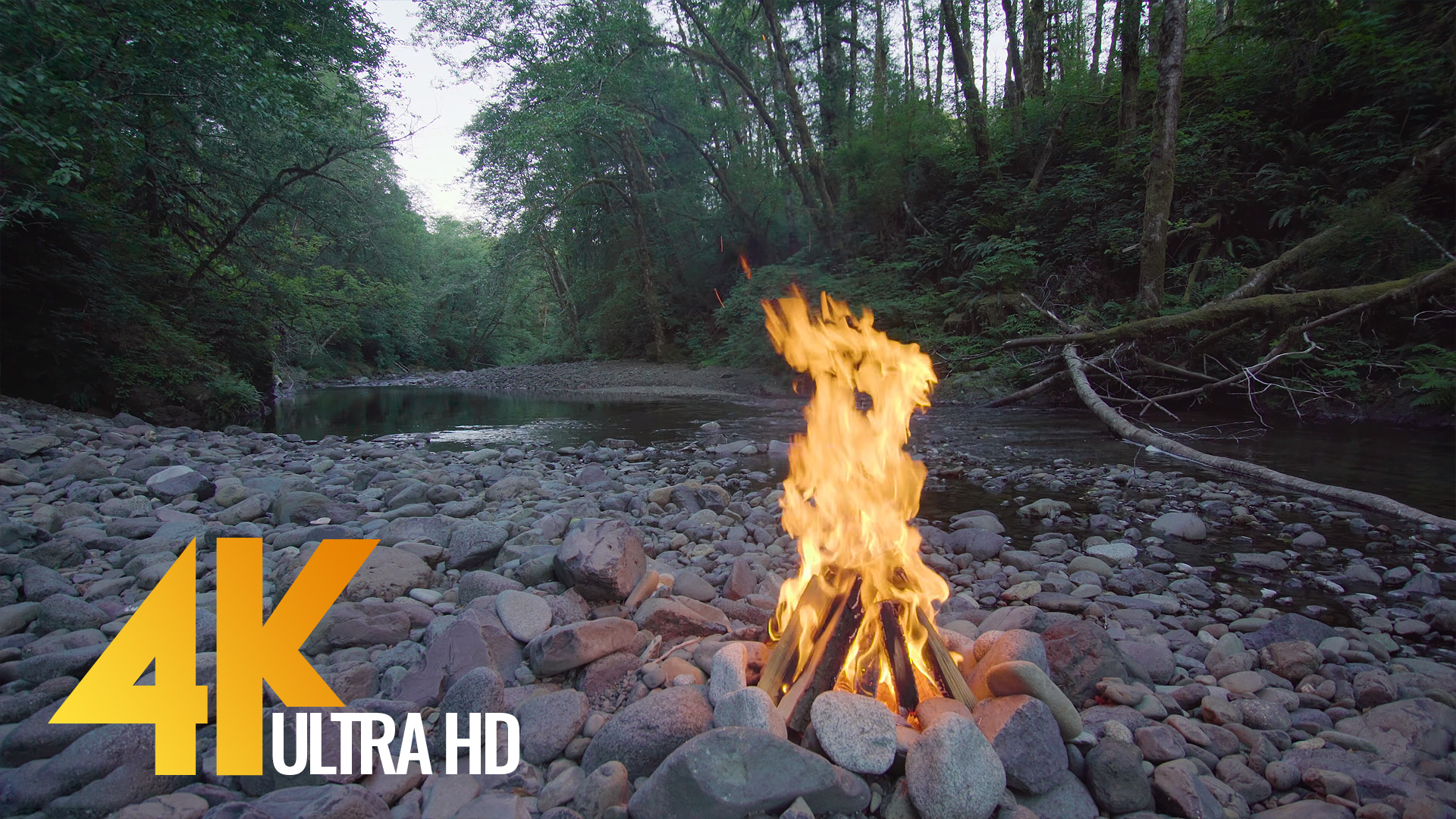 4k Nature Relax Video Relaxing River Campfire 3 Proartinc