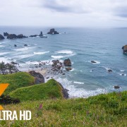 Pacific Northwest 1 film, NO VOICE YOUTUBE