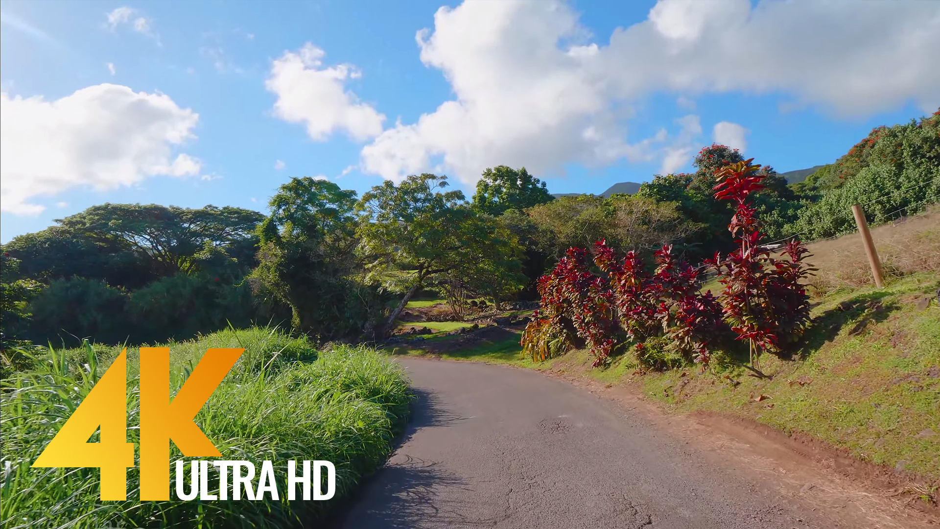 Road to Ha?a, Maui, Hawaii #2 - 4K Scenic Drive Video