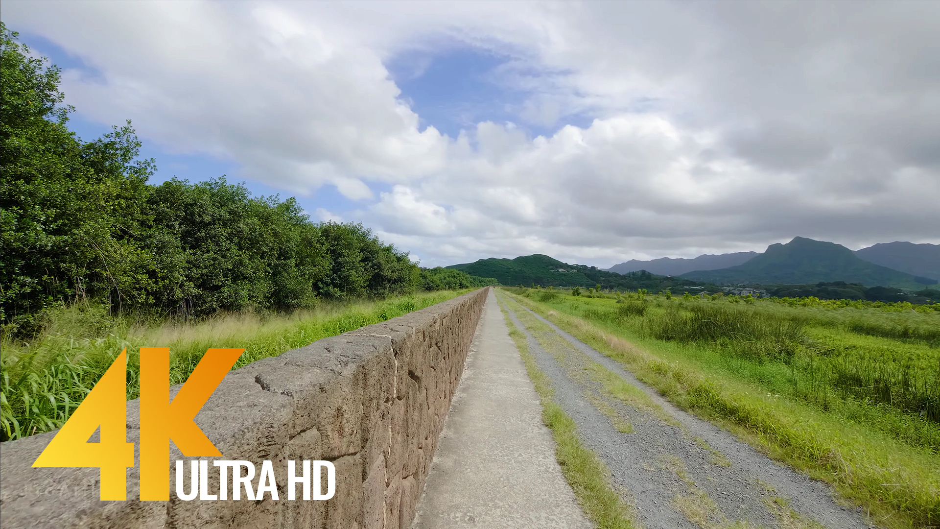 4K Nature Walking Tour - Kawainui Marsh Trail, Oahu, Hawaii | ProArtInc
