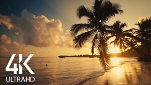 Tropical Sunrise on the Beach with Palms