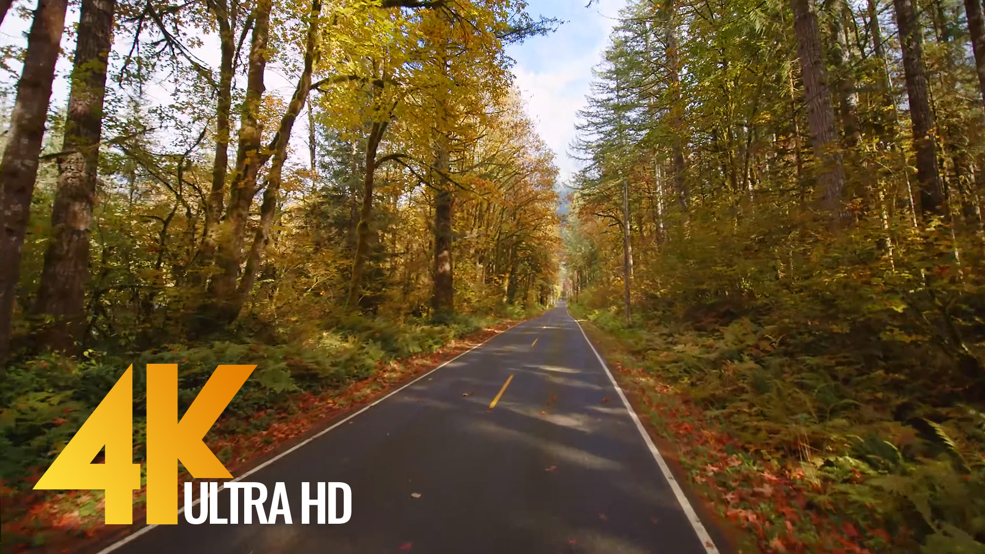 US 2 Road, Stevens Pass Highway 2 - 4K Scenic Drive 60 fps | ProArtInc