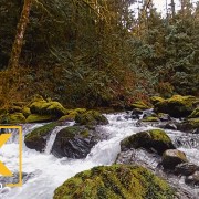 Stones of the Skagit River - VR video