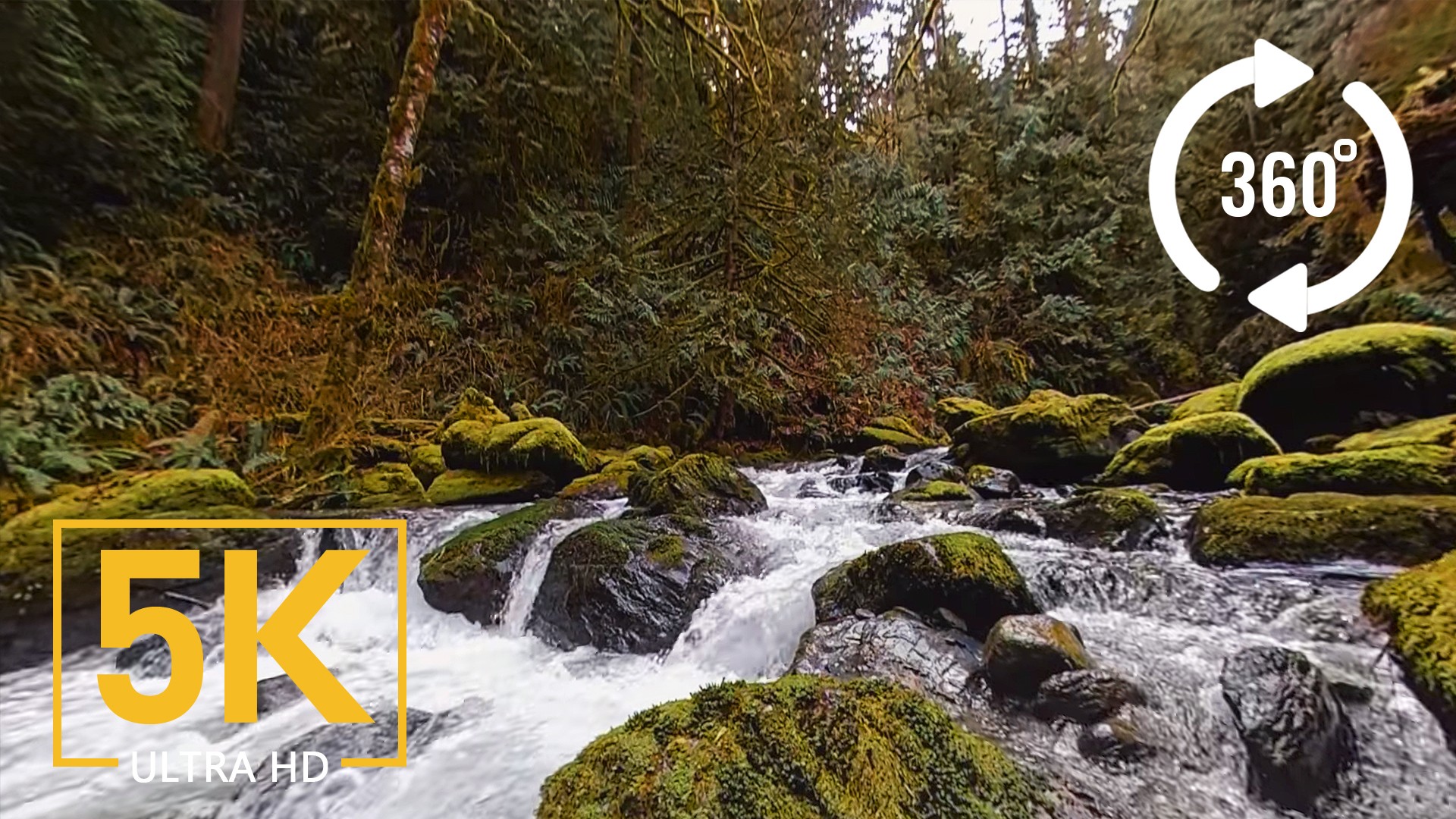 Stones of the Skagit River – VR video