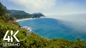 Amazing Ocean Sound and Premium Ocean Views
