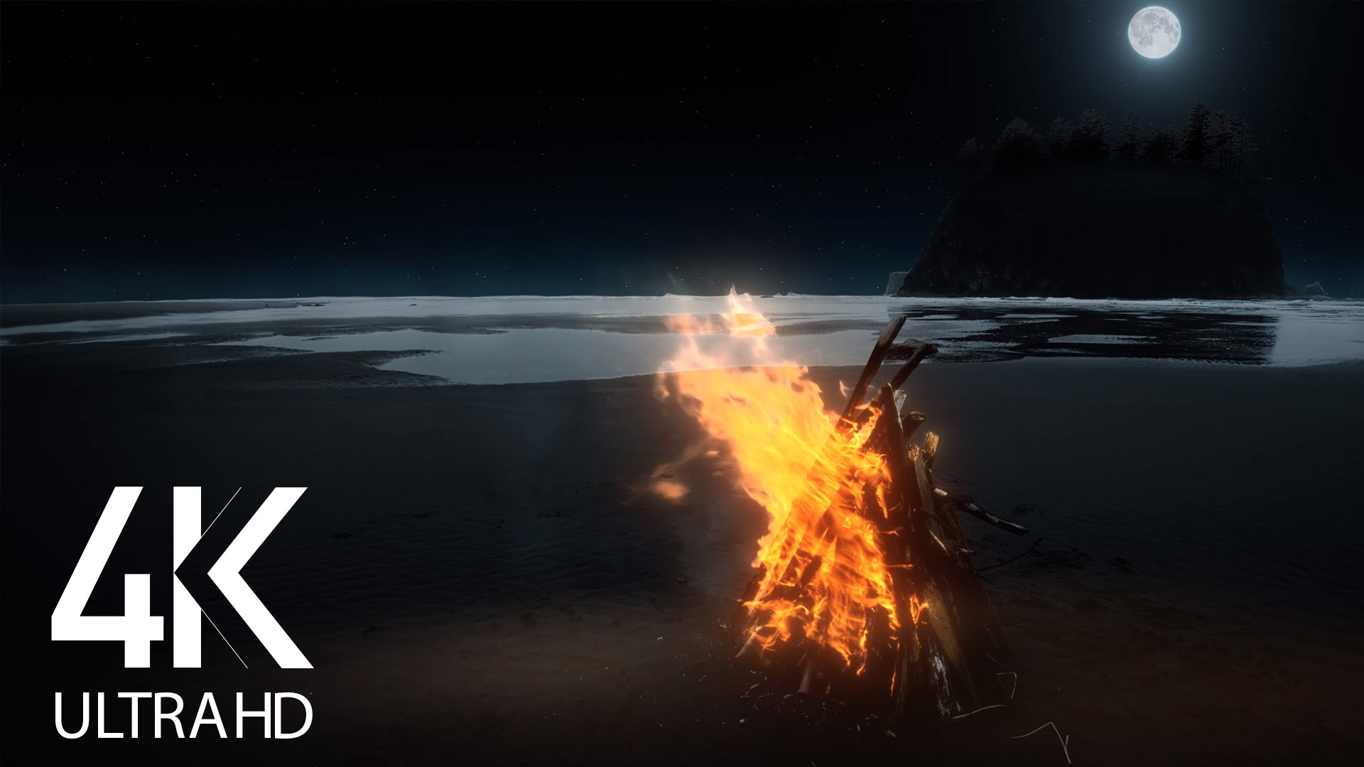 kom over Onkel eller Mister dessert 4K Night Campfire by the Ocean - 8 HRS Nature Sounds | ProArtInc