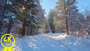 Winter Scenic Drive