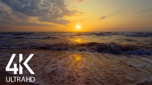 SOUNDS OF THE SEA AT SUNRISe for Nature Soundscapes RELAX 8 hours