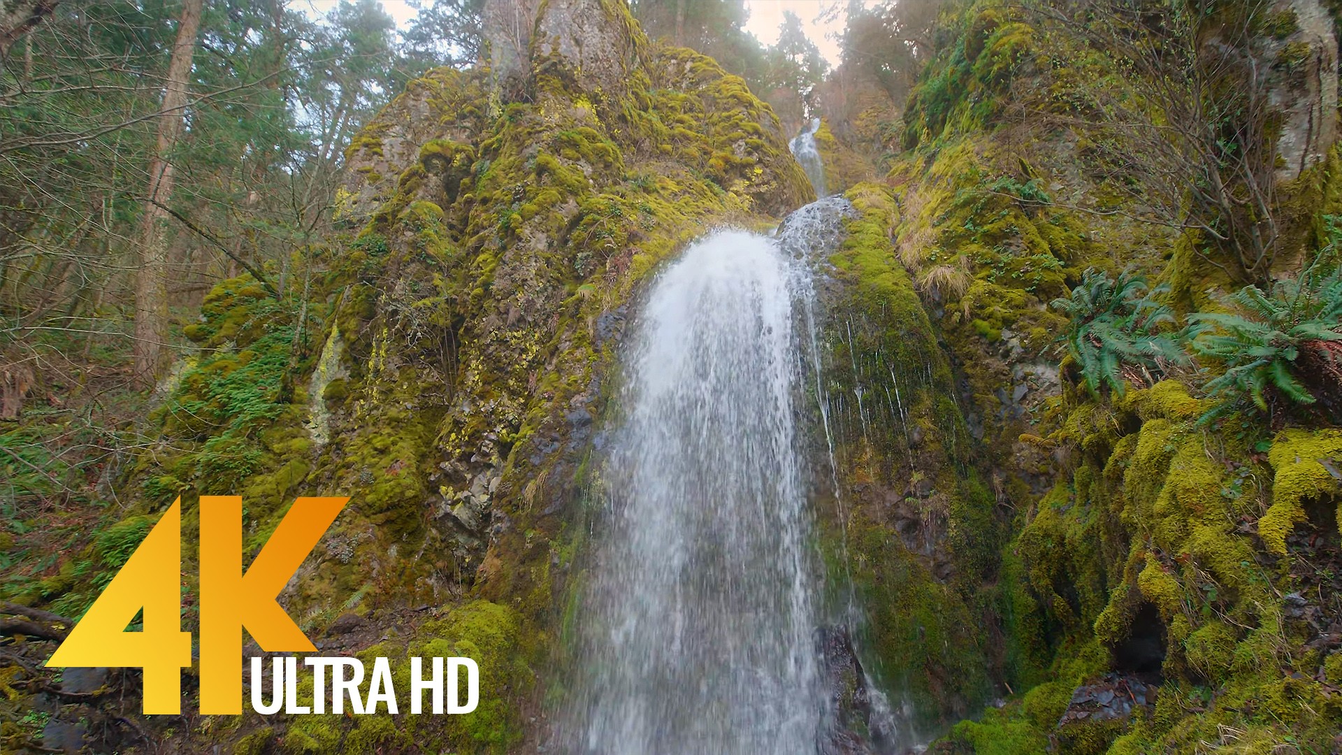 Oregon Waterfalls Wintertime Nature Relax Video