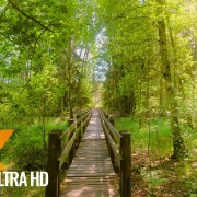 Amazing nature of Lithuania Walking tour PART 2