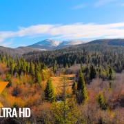Spring_Beauty_of_the_Carpathian_Mountains_from_the_Height_of_Bird's